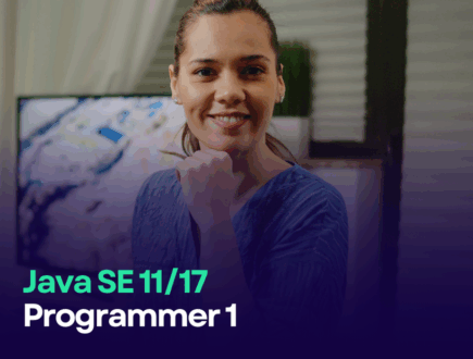Java SE 11_17 Programmer 1