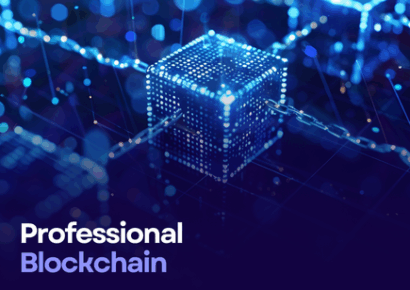 Professional Blockchain